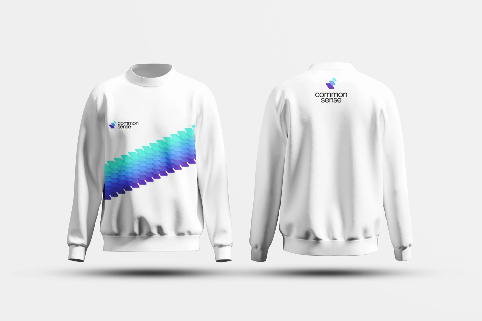 Common Sense — apparel sweatshirt