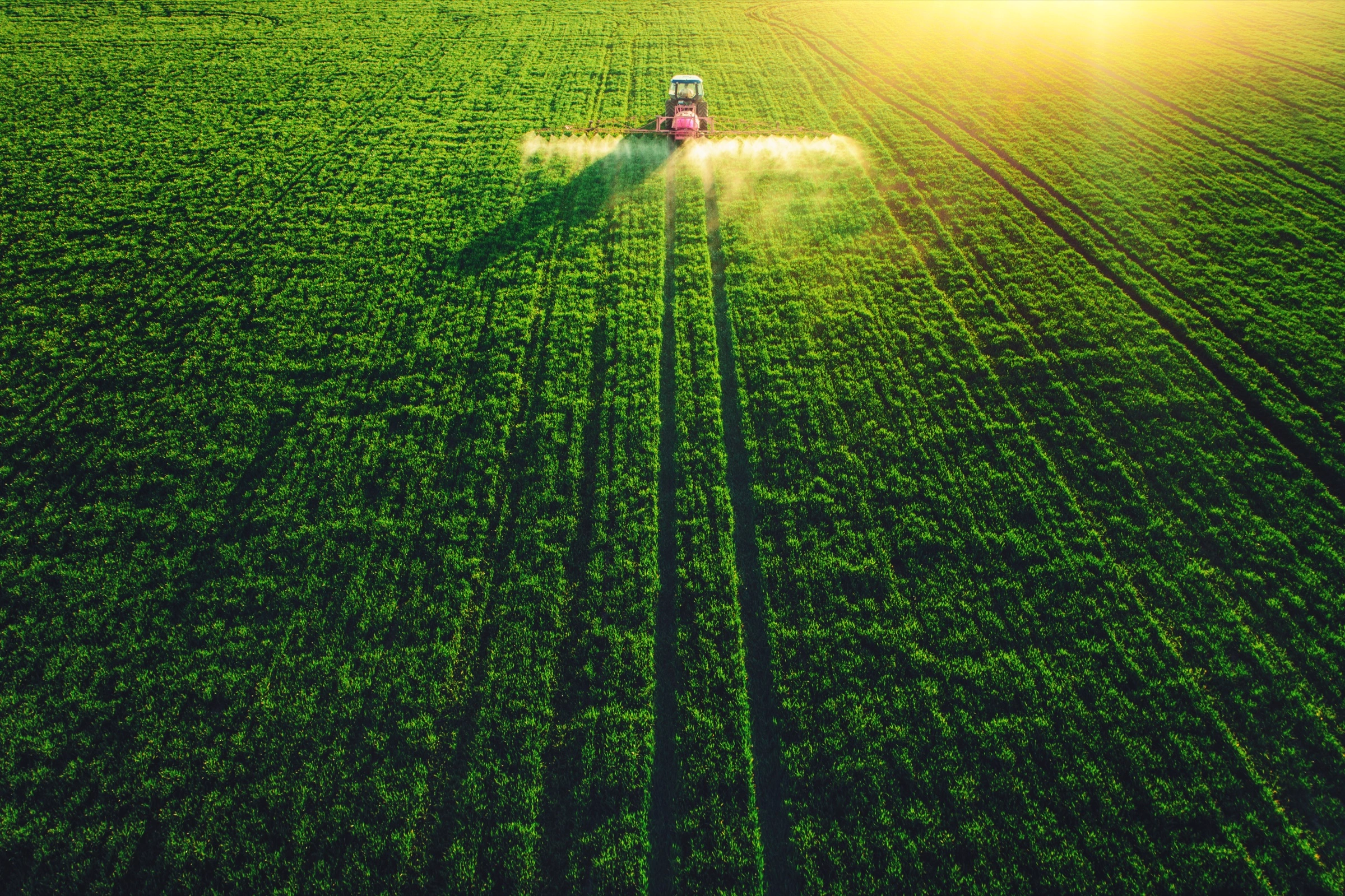 Precision agriculture at human scale, before it's reduced to data