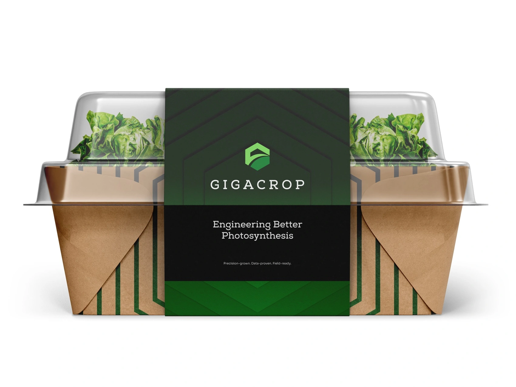 Gigacrop — mock samplers
