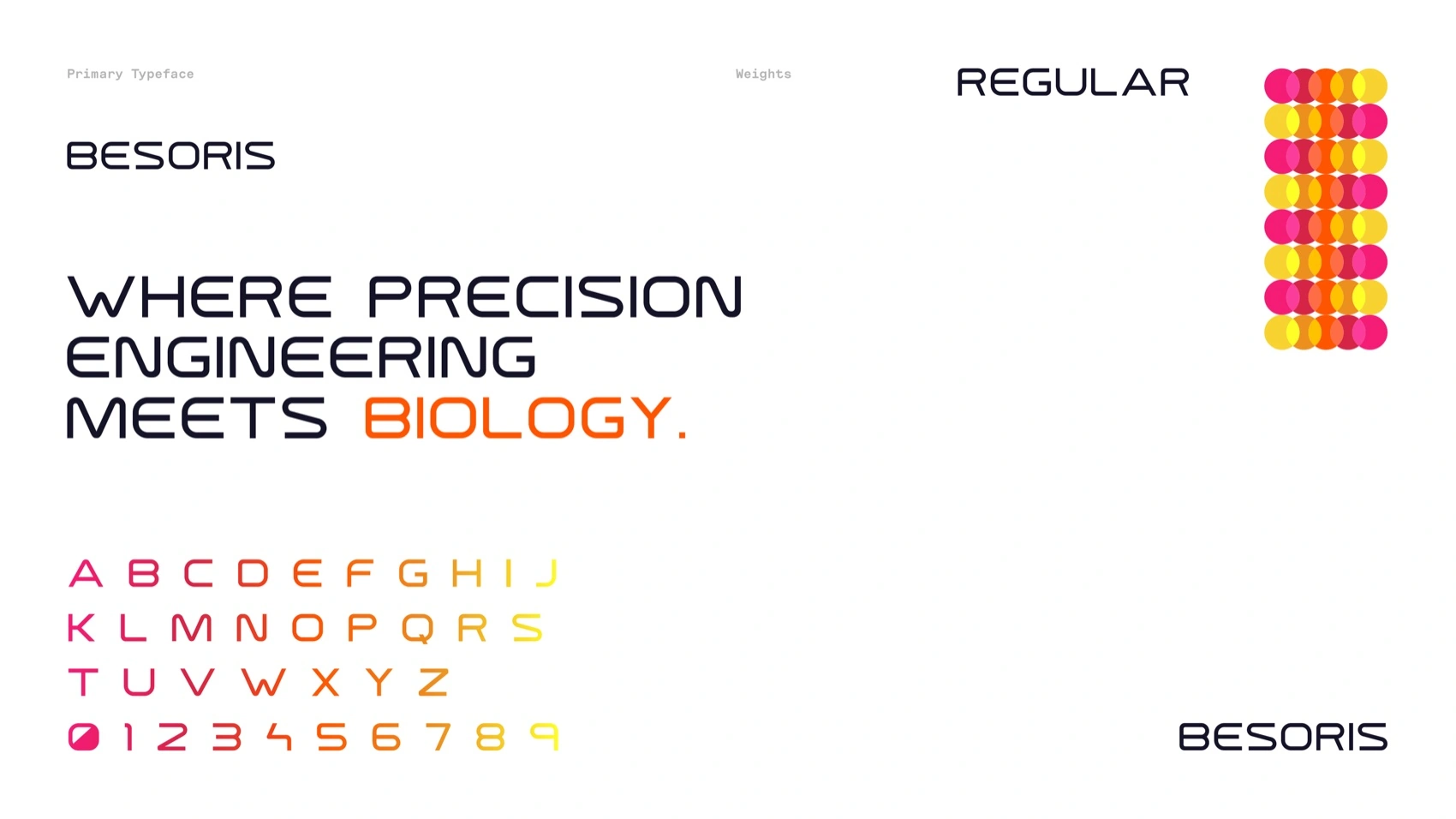 Synthetic Design Lab — type besoris